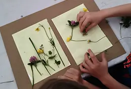 Preparación de materiales para taller de cianotipia en Cantabria